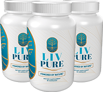 Bridport Health Liver Support 3 bottles — 90-day supply